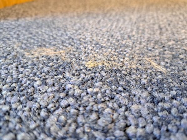 restpartij tapijttegels 44m2 w2 blauw