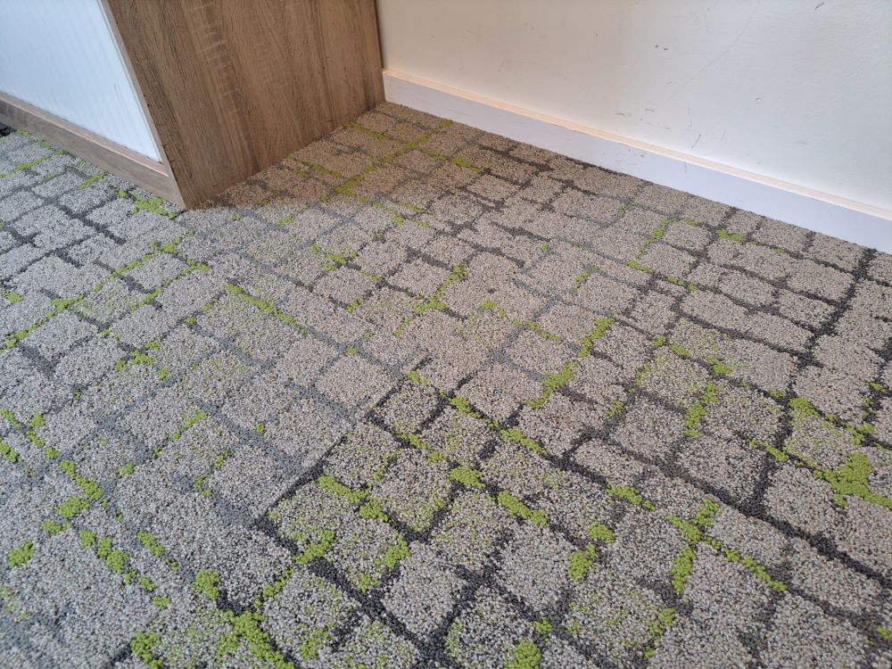 moss in stone w1 8340001, beige/groen