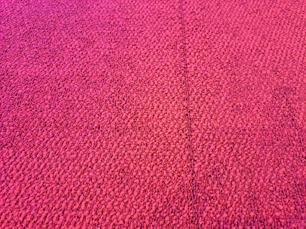 composure w2 4169065, rood
