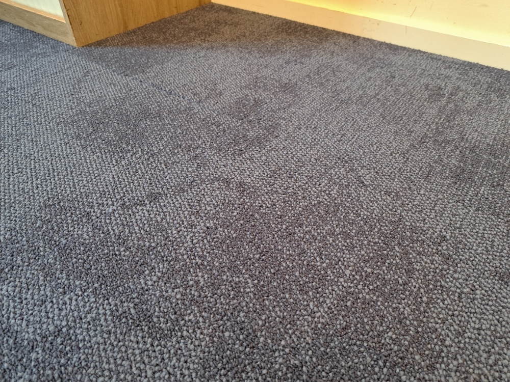 composure w1 4169058, blauw sonebacking