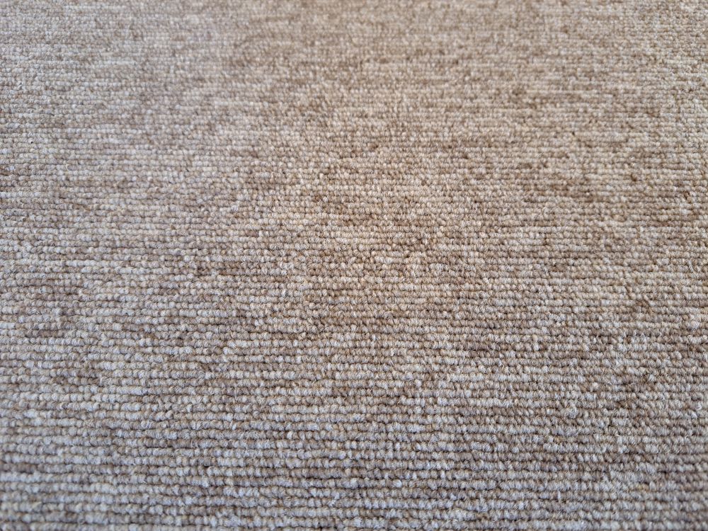 employloop 9997 w1,beige