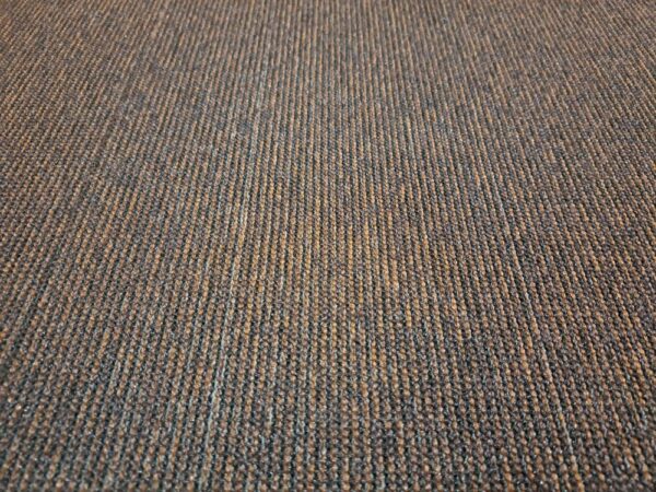 elevation 3 w2 4199016, bruin