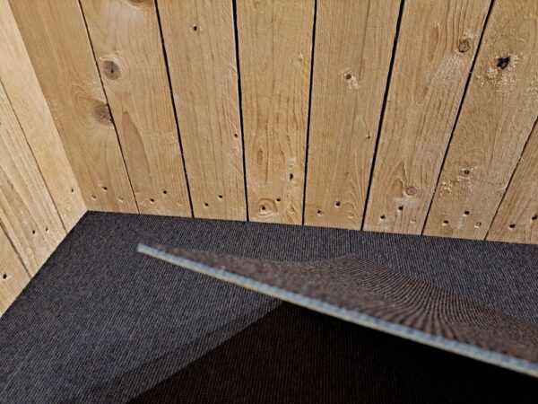 elevation 3 w2 4199016, bruin