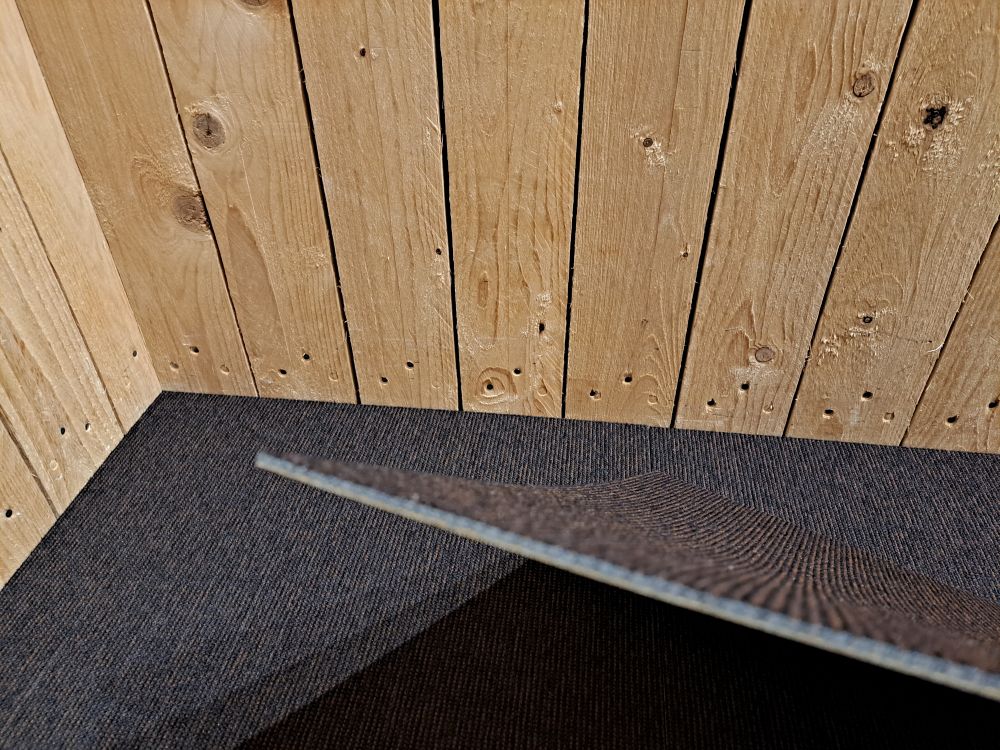 elevation 3 w2 4199016, bruin