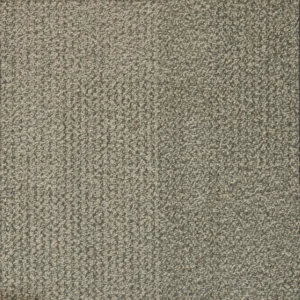 Entropy | Gebruikt, beige