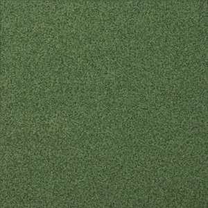 Heuga 568 | Gebruikt | Gereinigd, groen